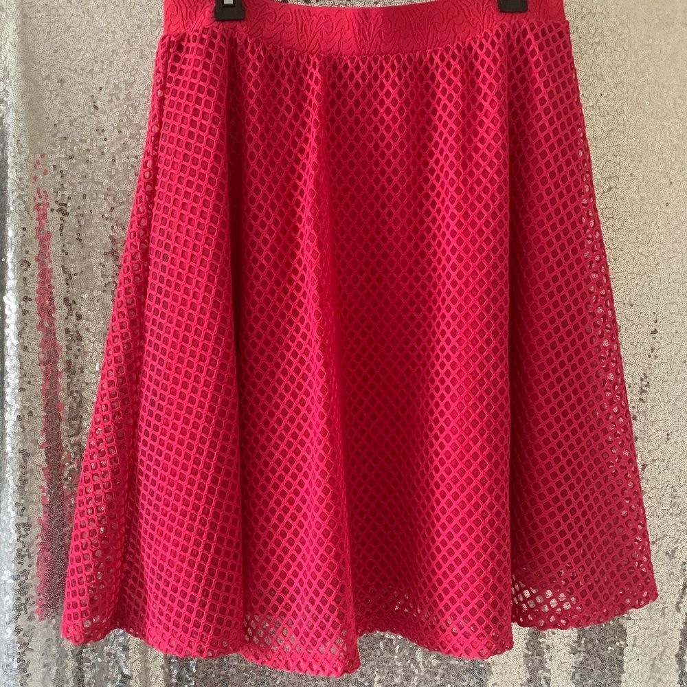 Mesh skirt 🎉🎉🎉HOST PICK🎉🎉🎉